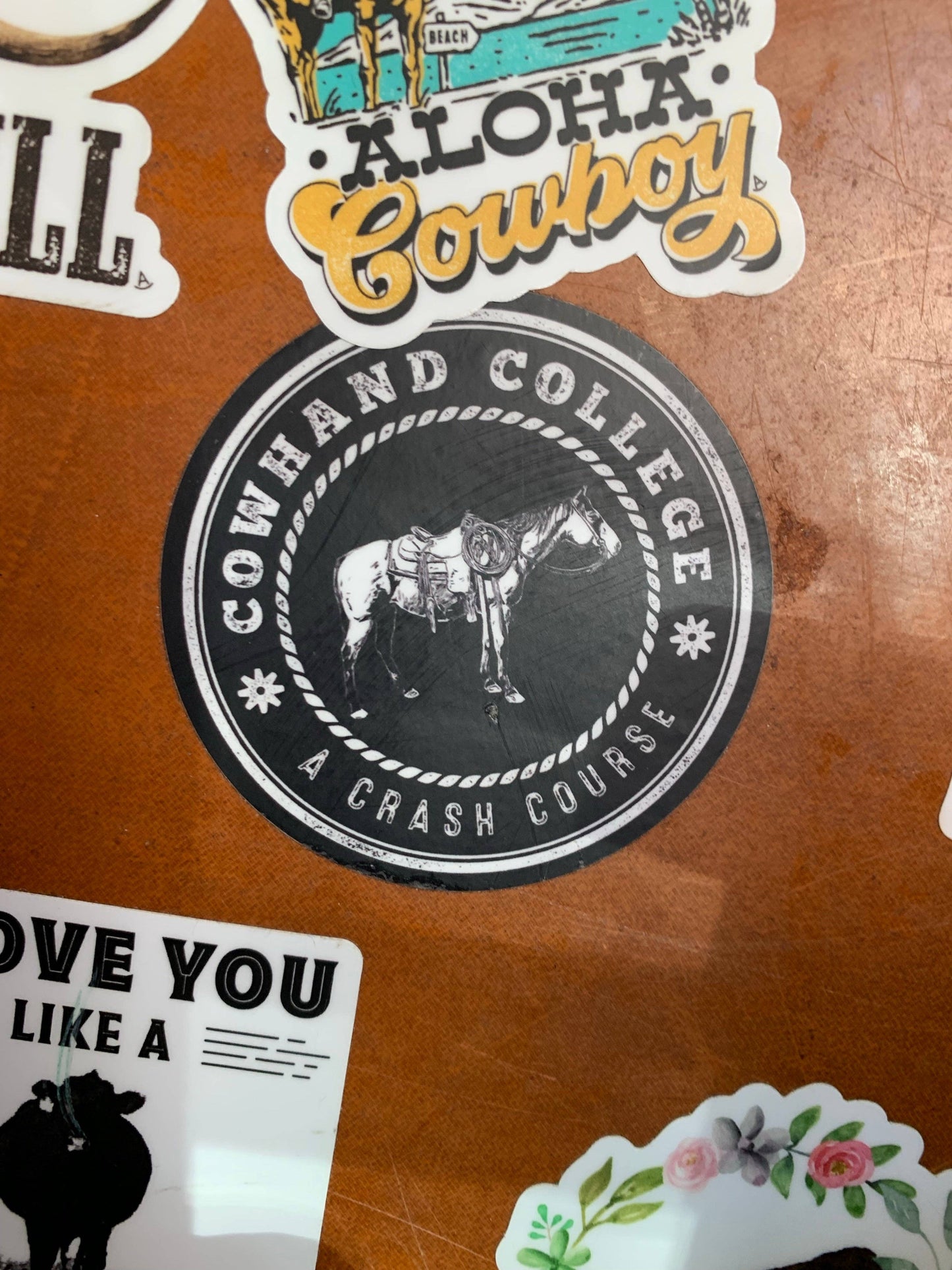 Cowhand College * A Crash Course * sticker